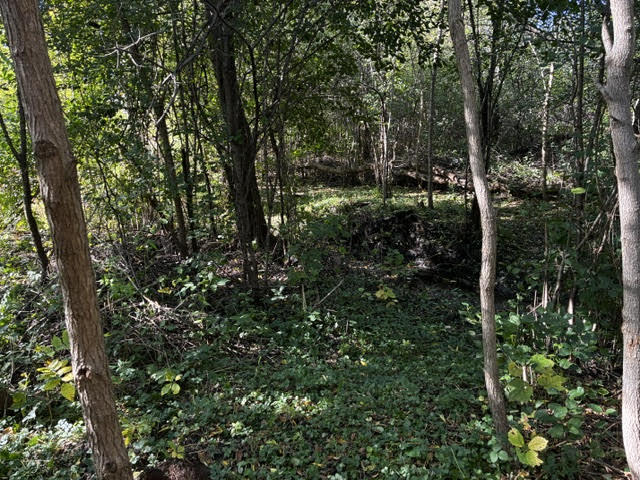 23976 West Beach Grove Road Antioch, IL 60002 - Photo 3 of 13 a view of outdoor space and yard