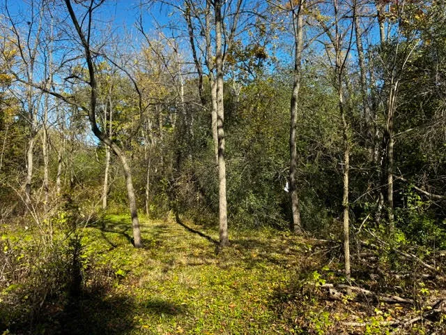 a view of a outdoor space