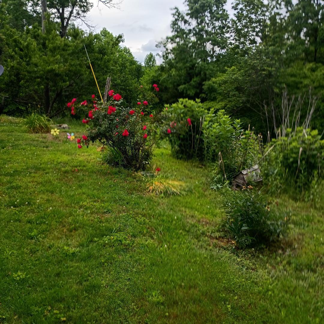 273 South Burke Road Monticello, KY 42633 - Photo 39 of 42 thumbnail 46