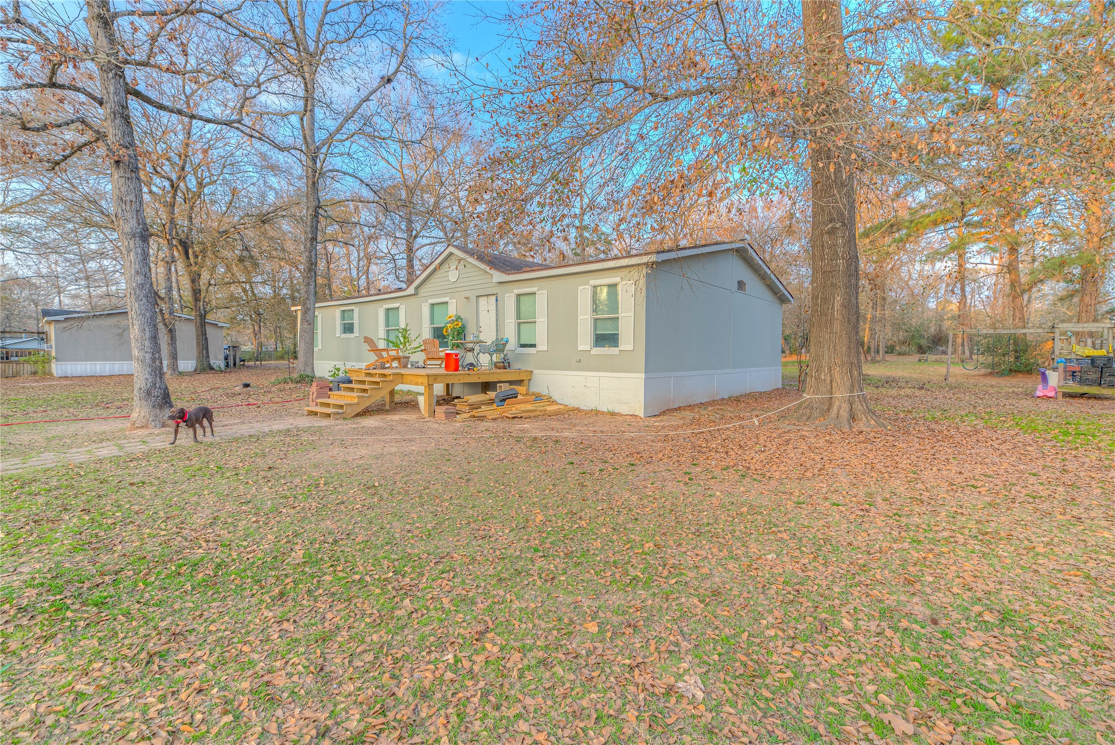 17709 Pine View Drive Conroe, TX 77302 - Photo 4 of 26 a view of road with large trees