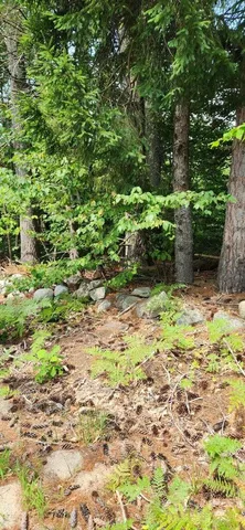 $85,000 | Lot#33 Shore Acres Road, Parsonsfield, ME 04047