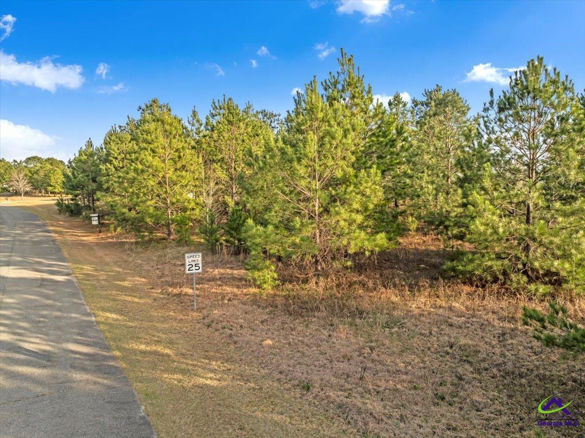 0 Woodland Trail Road Cochran, GA 31014 - Photo 16 of 20