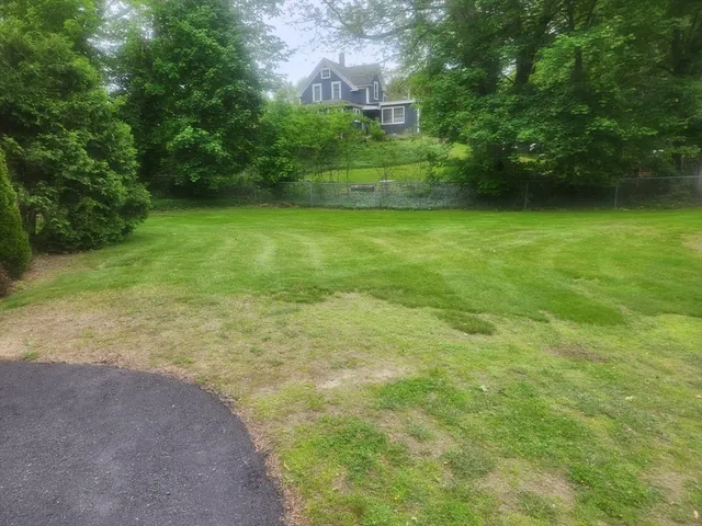 a view of a big yard with plants and large trees