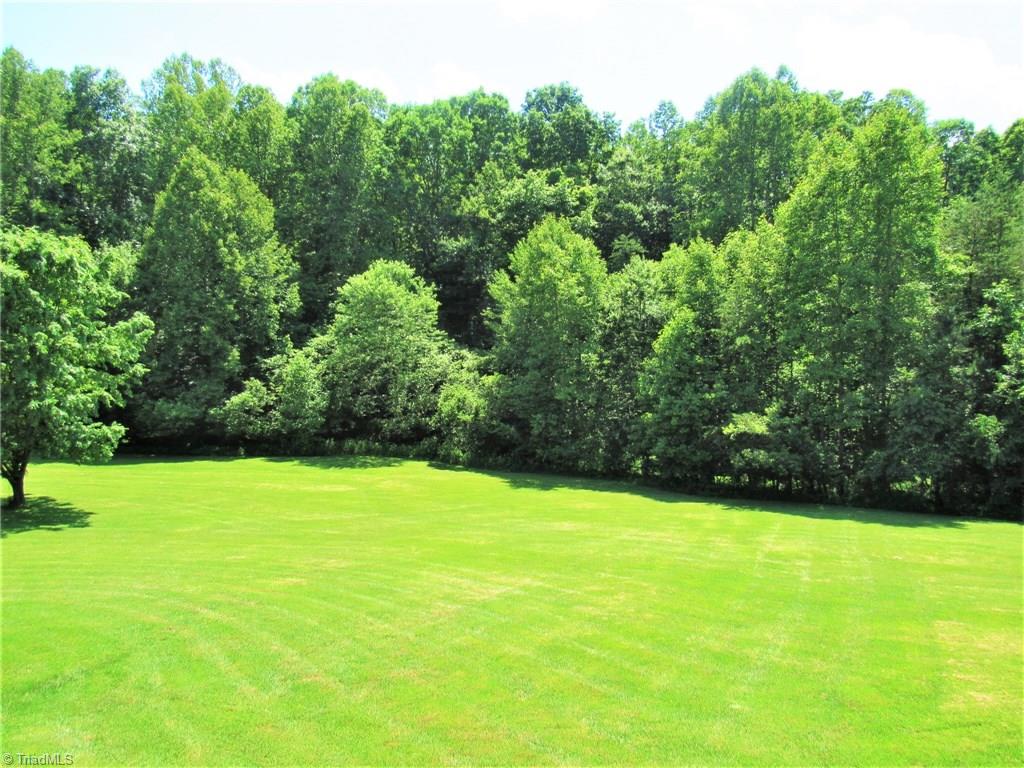 571 Carson Road Pilot Mountain, NC 27041 - Photo 4 of 30 Wonderful backyard with privacy.