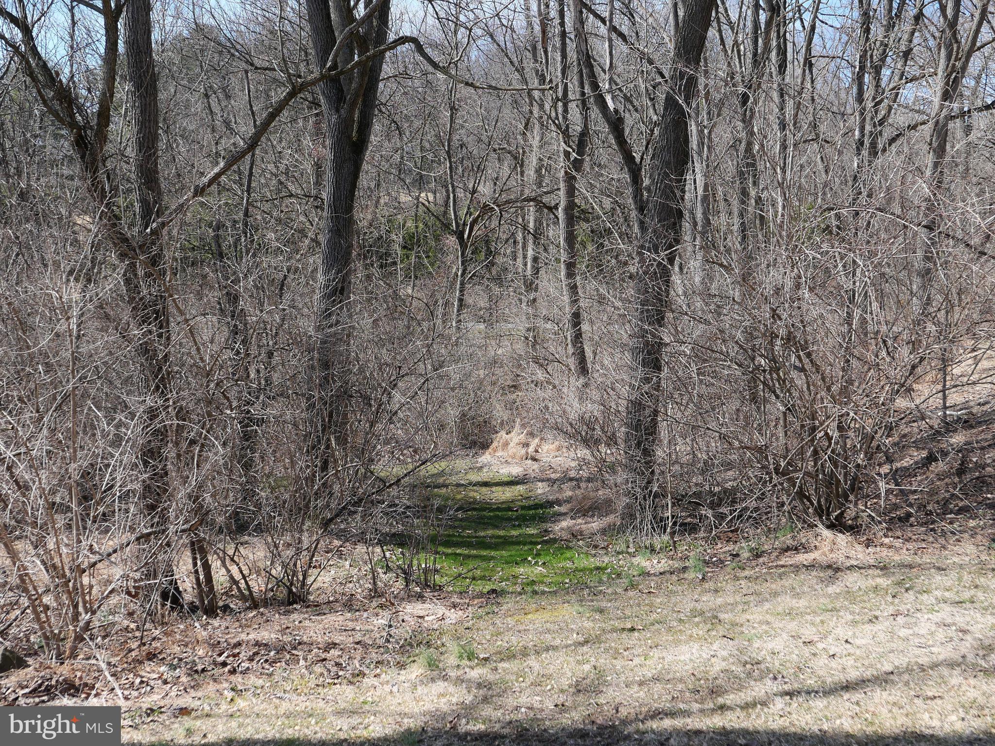 1520 County Line Road Gilbertsville, PA 19525 - Photo 81 of 107 Gallery Image 81