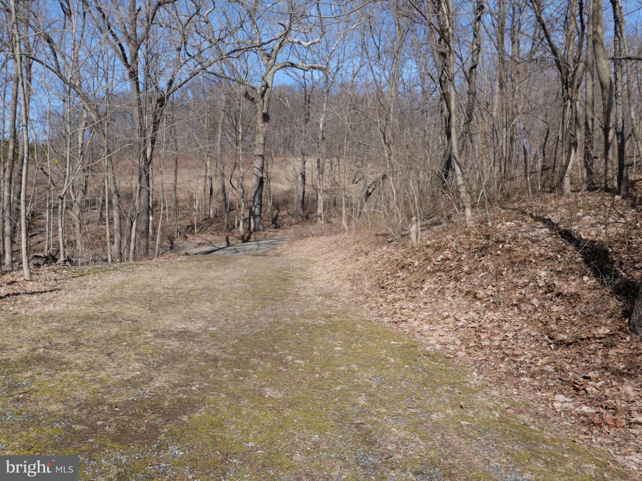 1520 County Line Road Gilbertsville, PA 19525 - Photo 96 of 107 Gallery Image 96