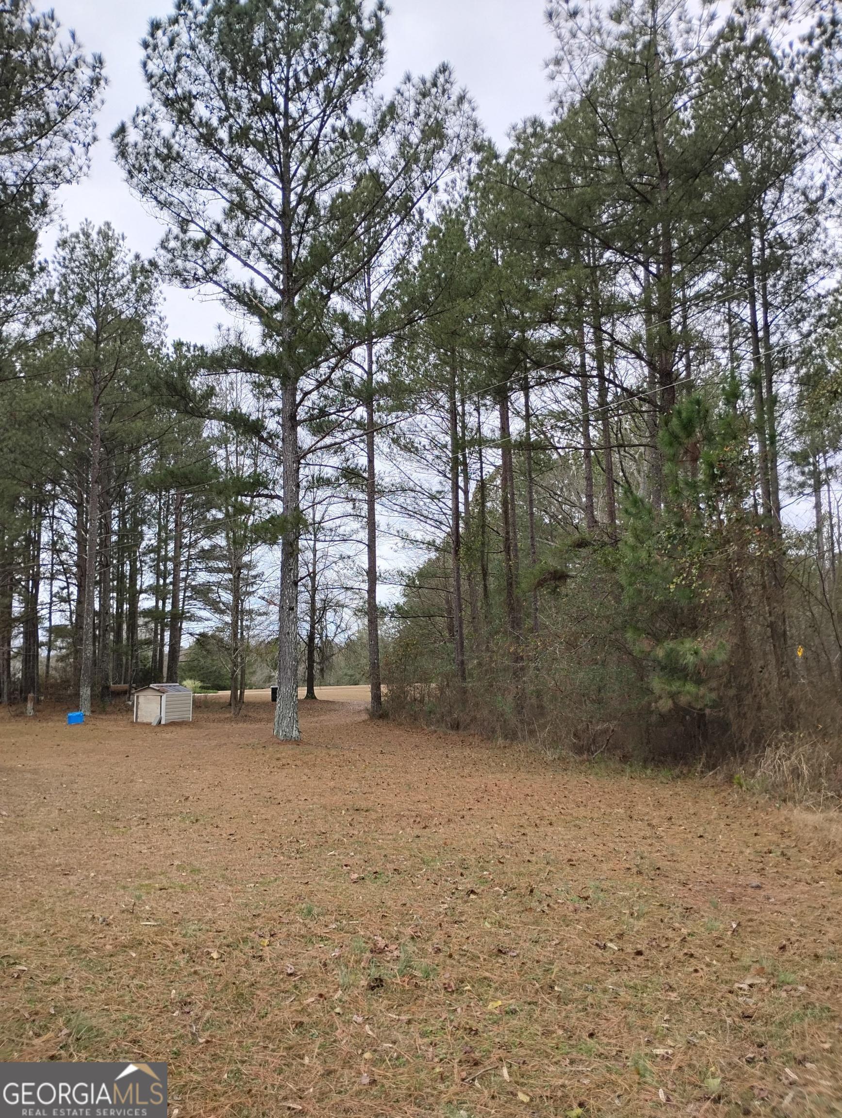 3440 Bethany Church Road Crawfordville, GA 30631 - Photo 5 of 5
