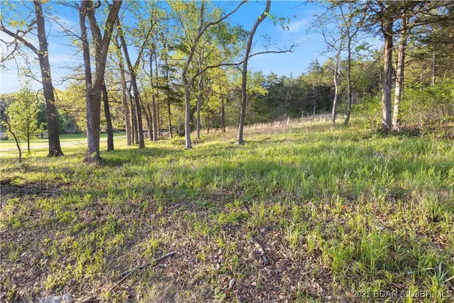 $185,000 | Tbd Jacobs Hollow, Roach, MO 65787