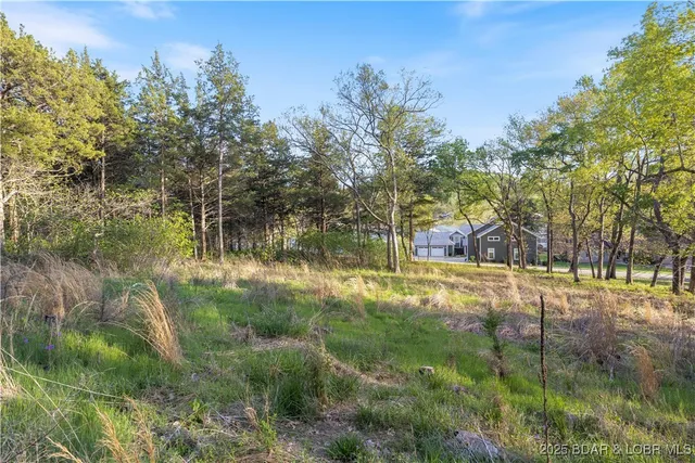 $185,000 | Tbd Jacobs Hollow, Roach, MO 65787