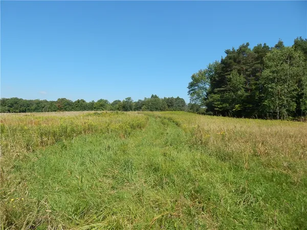 $200,000 | 0 Sam Holdridge Road, Garrattsville, NY 13342