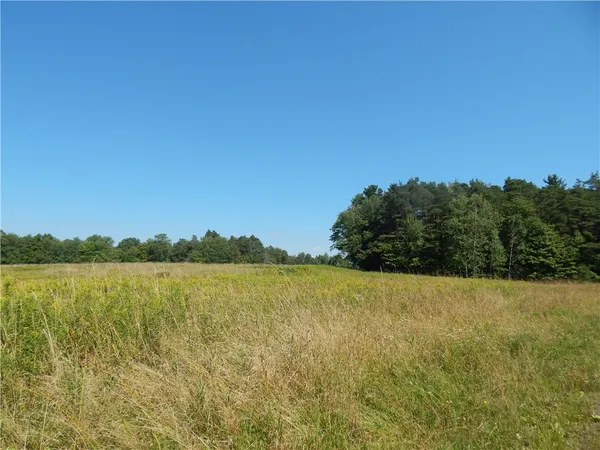 $200,000 | 0 Sam Holdridge Road, Garrattsville, NY 13342