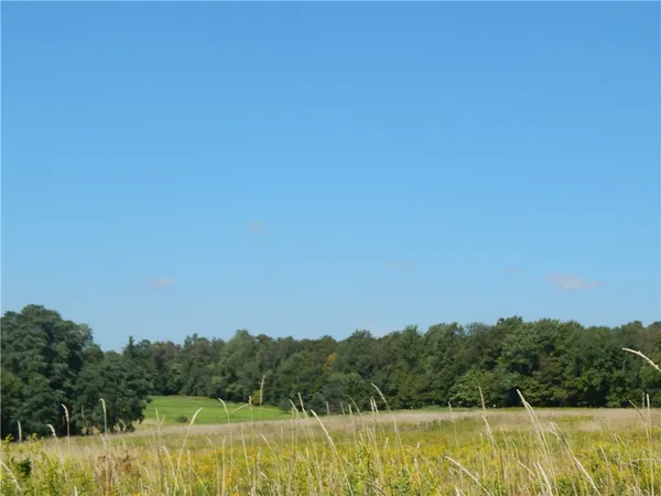 $200,000 | 0 Sam Holdridge Road, Garrattsville, NY 13342
