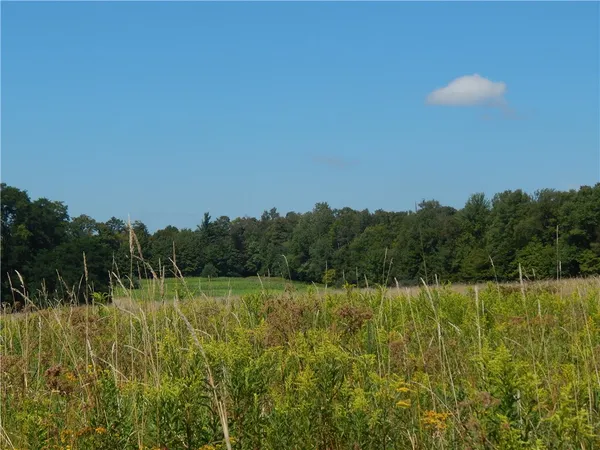$200,000 | 0 Sam Holdridge Road, Garrattsville, NY 13342