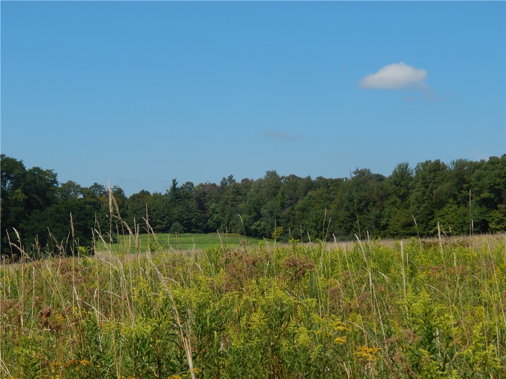 0 Sam Holdridge Road Garrattsville, NY 13342 - Photo 7 of 12
