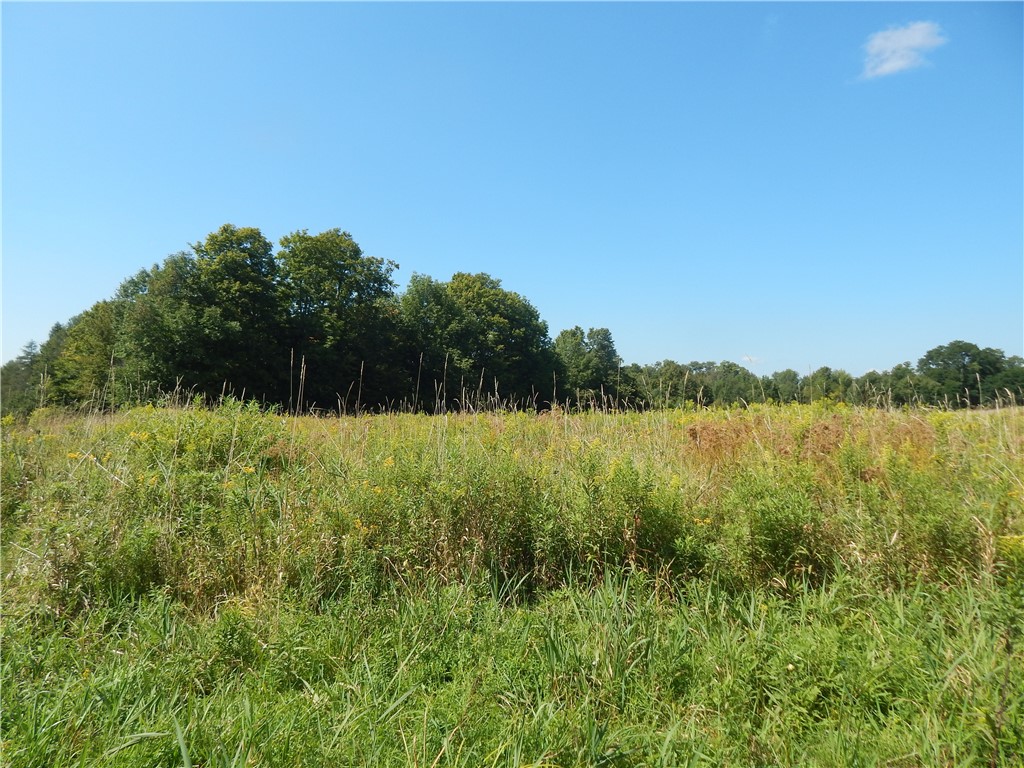0 Sam Holdridge Road Garrattsville, NY 13342 - Photo 8 of 12