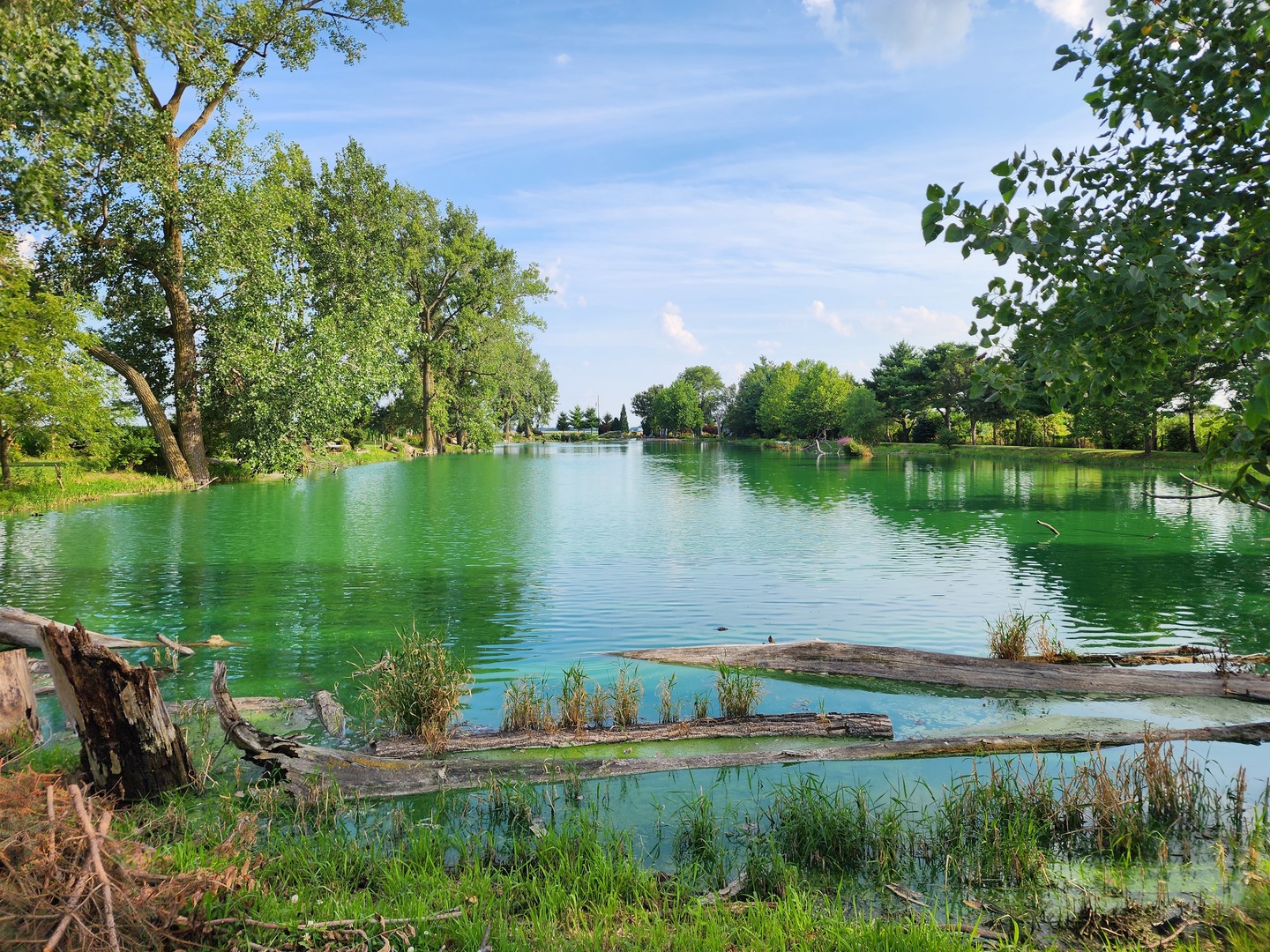 860 East 1100 Road Champaign, IL 61822 - Photo 19 of 60 a view of a lake with a yard and large trees