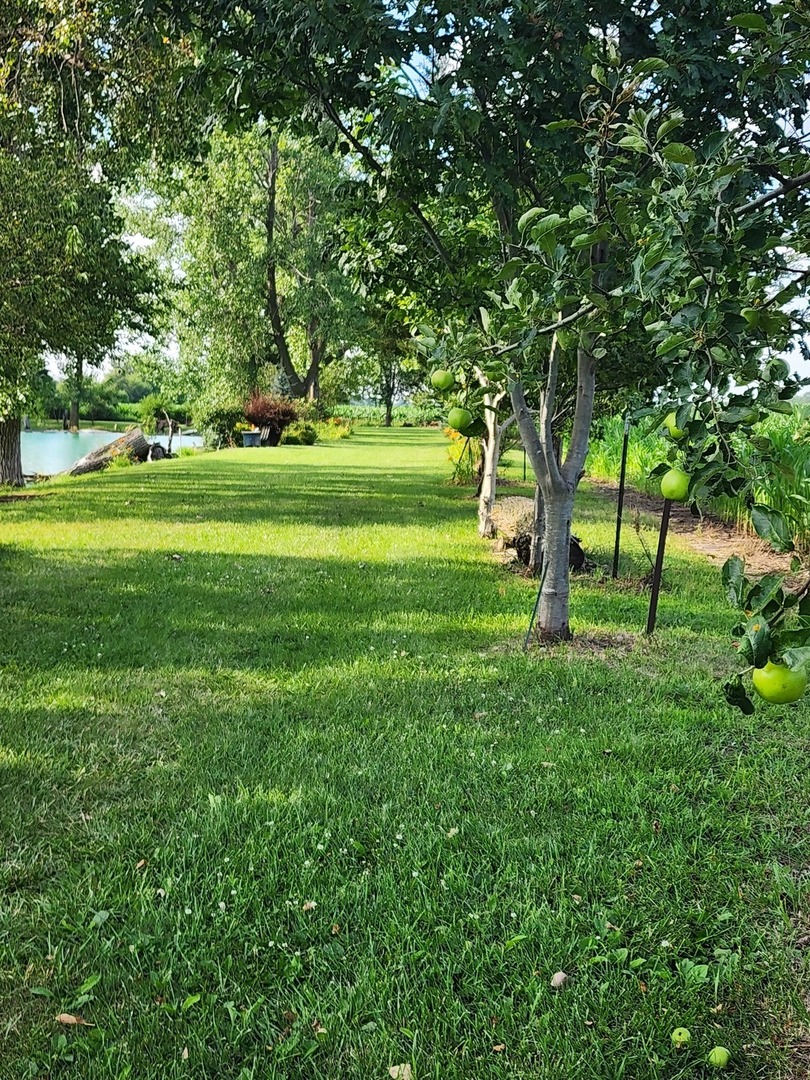 860 East 1100 Road Champaign, IL 61822 - Photo 32 of 60 a view of grassy field with benches