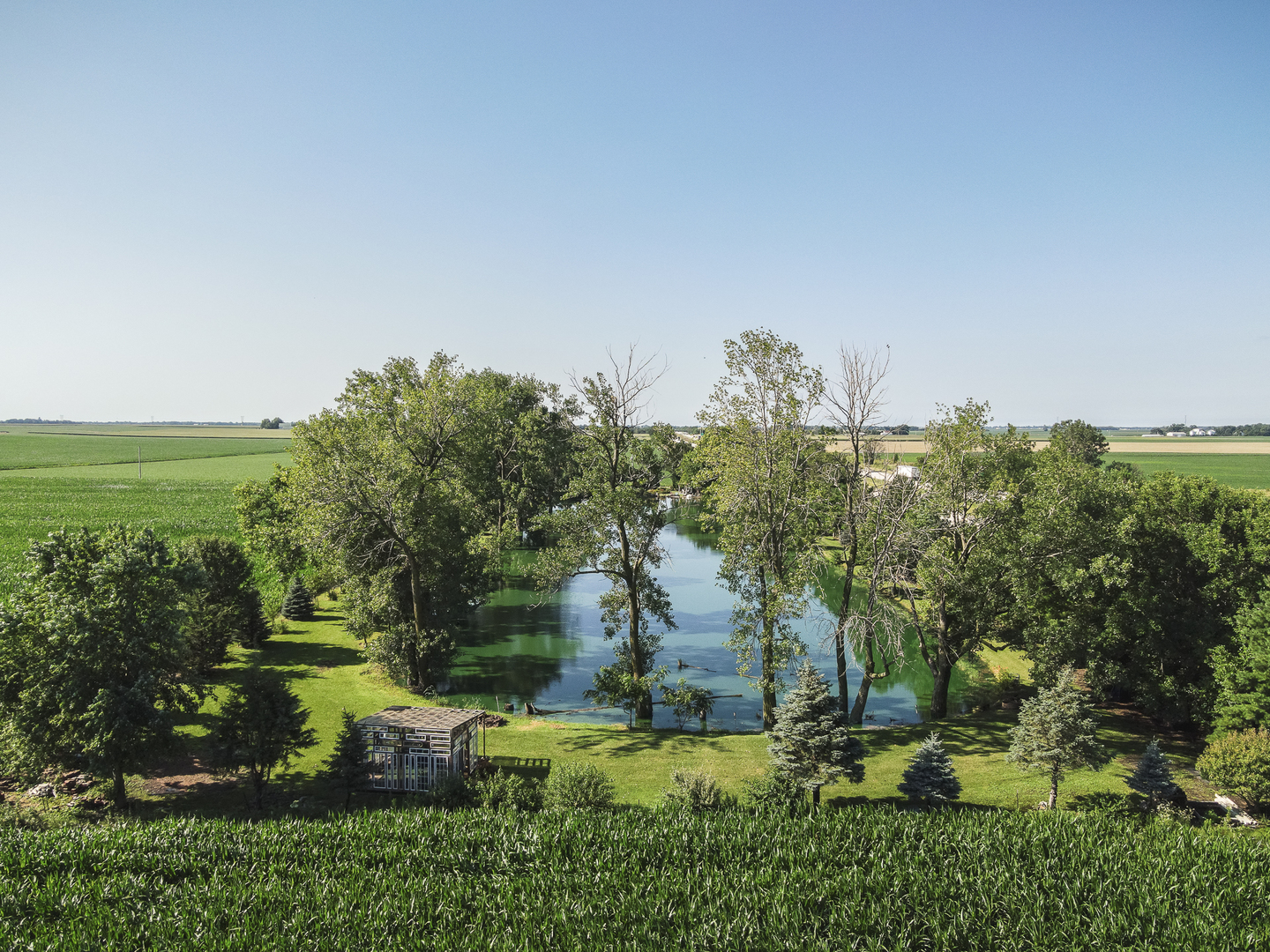 860 East 1100 Road Champaign, IL 61822 - Photo 55 of 60 a view of a green field with lots of bushes