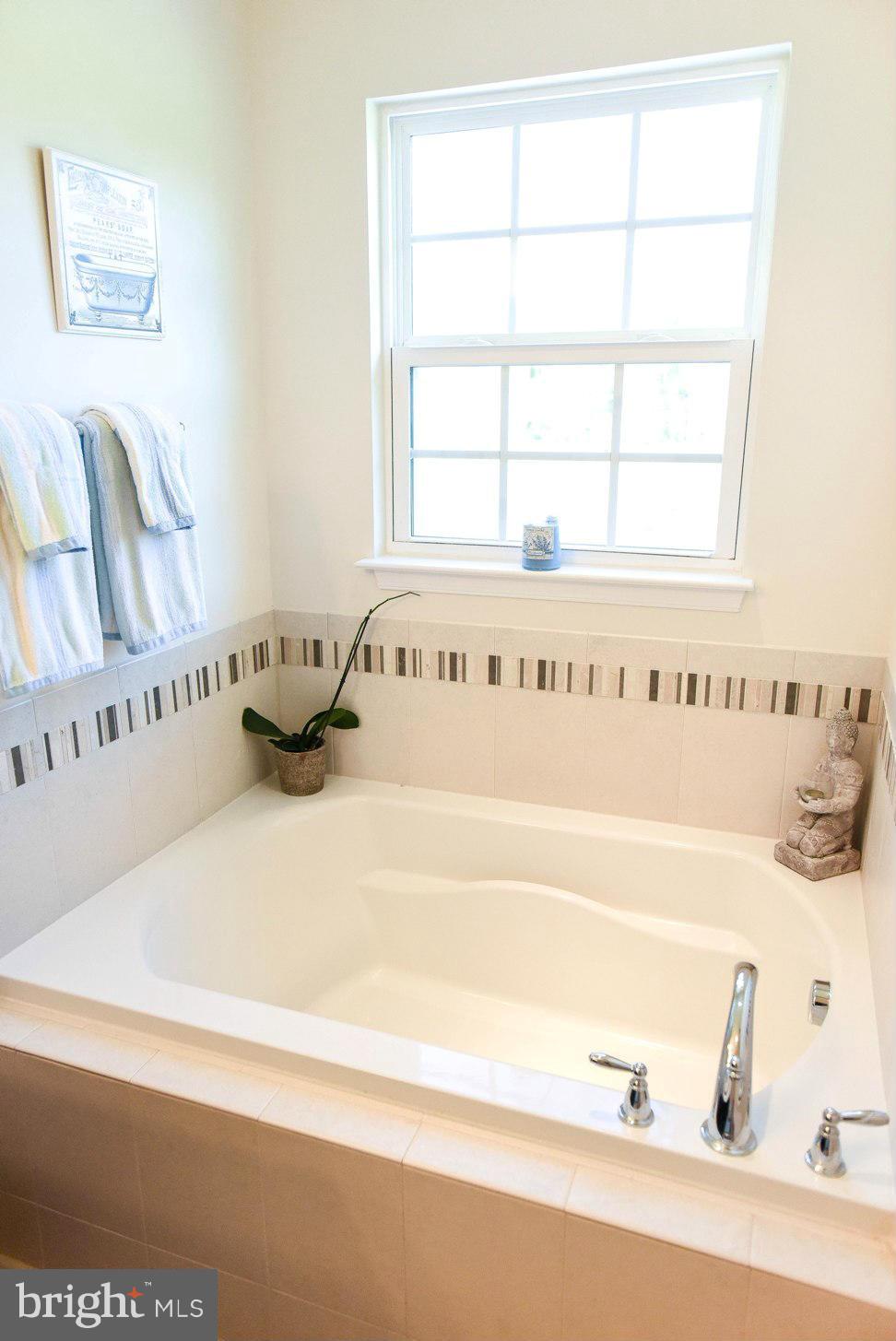 2905 St Marys View Road Accokeek, MD 20607 - Photo 13 of 30 Bath (Master)