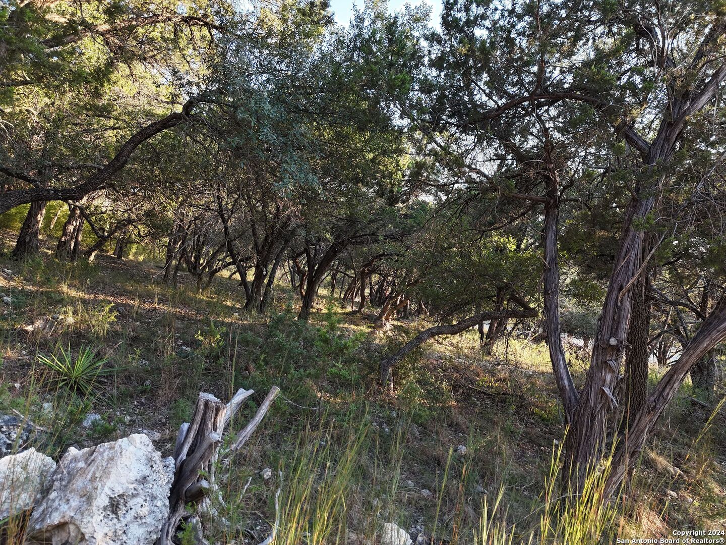1167 Hancock Road Canyon Lake, TX 78133 - Photo 14 of 29 a view of an outdoor space with a lake view