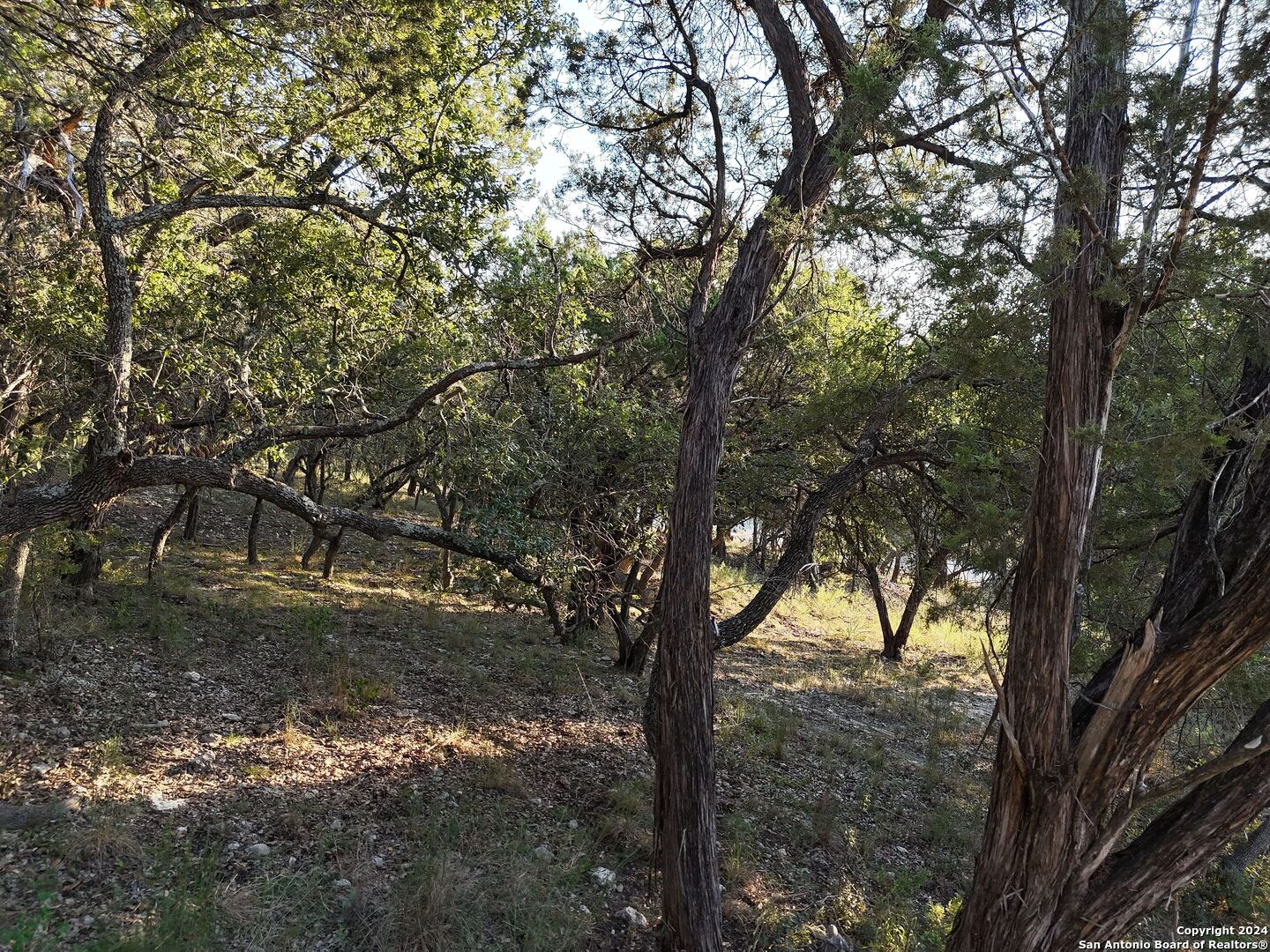 1167 Hancock Road Canyon Lake, TX 78133 - Photo 16 of 29