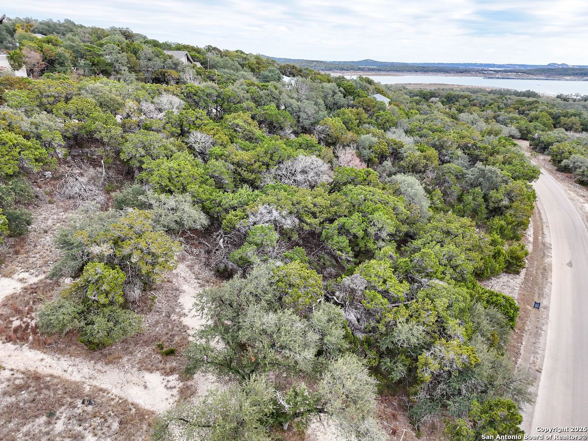 1167 Hancock Road Canyon Lake, TX 78133 - Photo 2 of 29 a view of a forest with a street