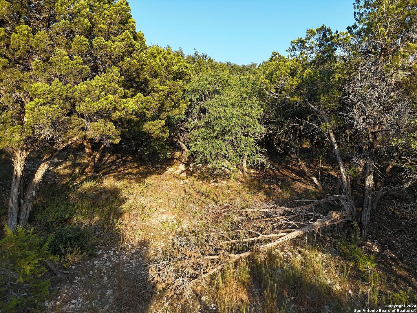 1167 Hancock Road Canyon Lake, TX 78133 - Photo 24 of 29 a view of a large yard with lots of trees