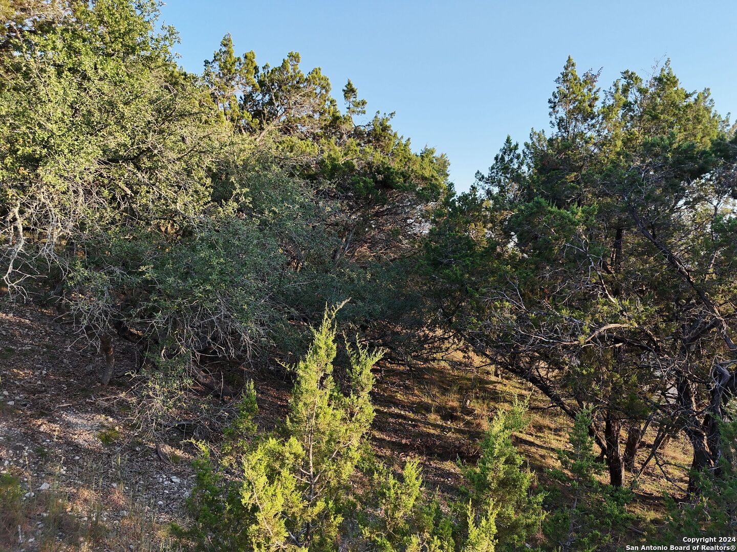 1167 Hancock Road Canyon Lake, TX 78133 - Photo 25 of 29 a view of a yard with plants and trees