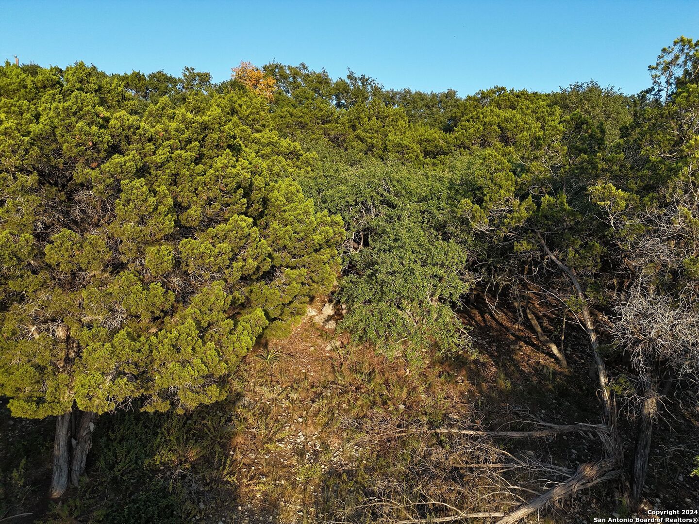 1167 Hancock Road Canyon Lake, TX 78133 - Photo 26 of 29 a view of a yard