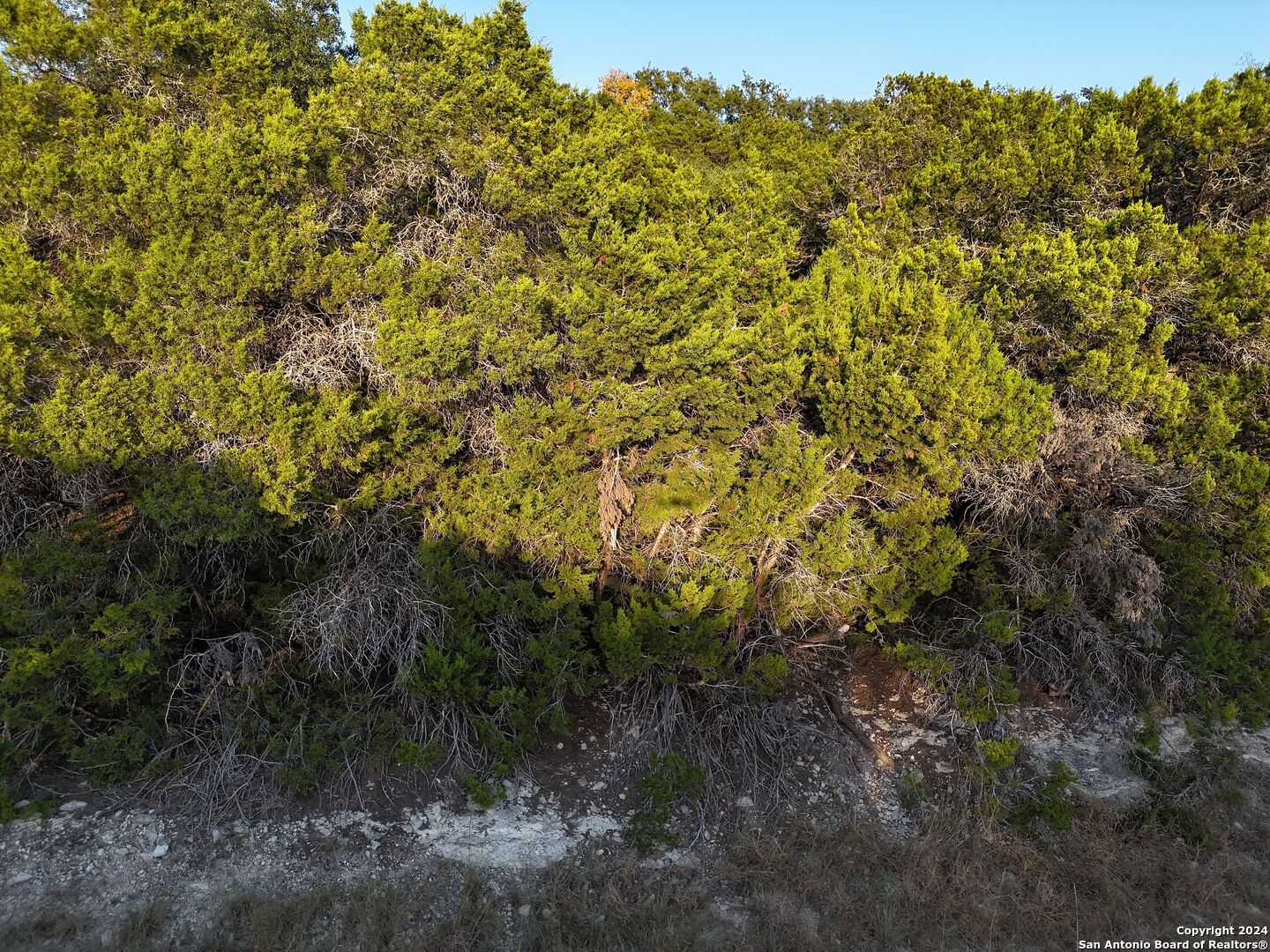 1167 Hancock Road Canyon Lake, TX 78133 - Photo 28 of 29 a view of a large yard with lots of green space