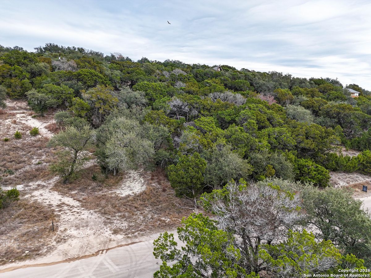 1167 Hancock Road Canyon Lake, TX 78133 - Photo 4 of 29 a view of a forest with a street