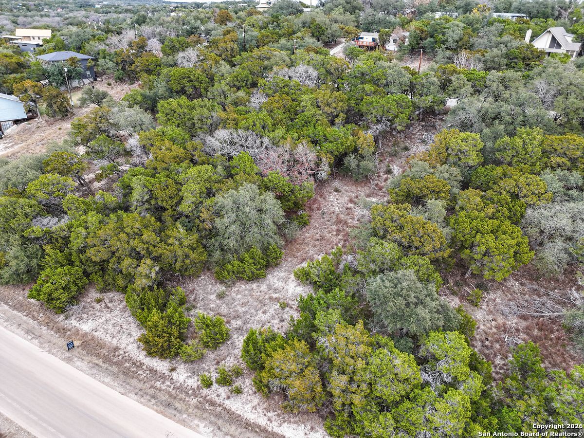 1167 Hancock Road Canyon Lake, TX 78133 - Photo 5 of 29 a view of a forest with a tree