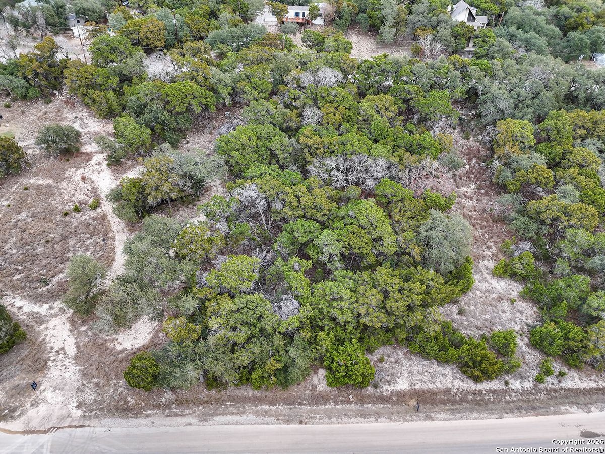1167 Hancock Road Canyon Lake, TX 78133 - Photo 6 of 29 a view of a yard with a tree
