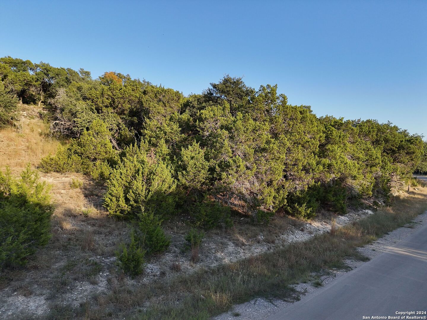 1167 Hancock Road Canyon Lake, TX 78133 - Photo 8 of 29 a view of a forest with a tree