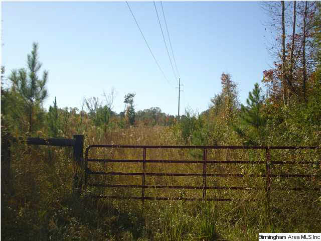 1148 County Road 418 Clanton, AL 35045 - Photo 9 of 10