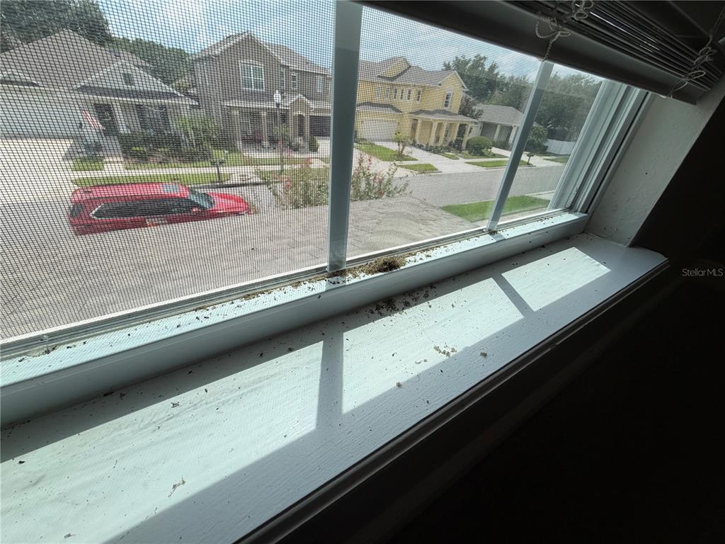 13633 Riggs Way Windermere, FL 34786 - Photo 20 of 28 Gallery Image 20