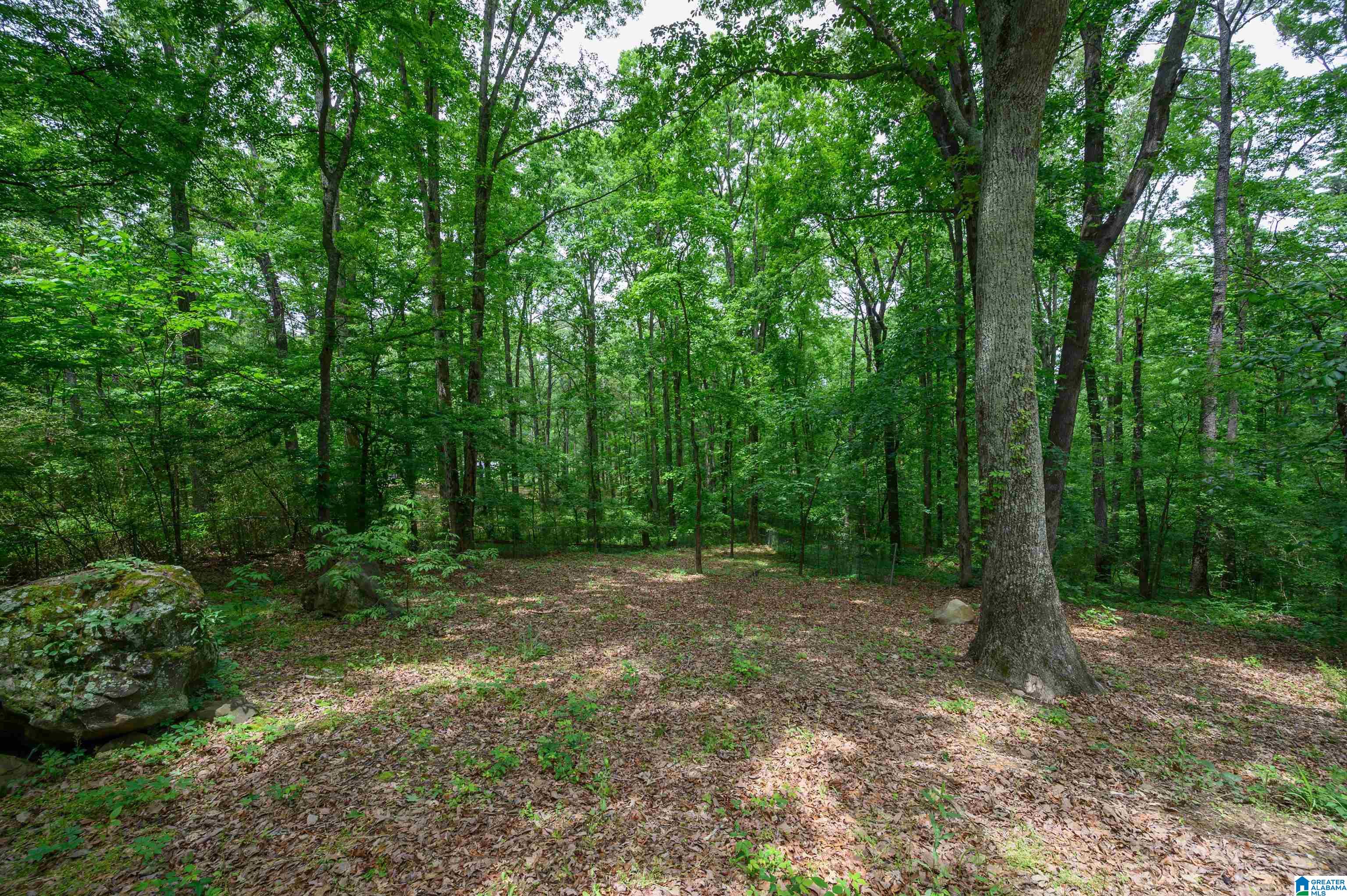 4410 South Shades Crest Road Helena, AL 35022 - Photo 4 of 41