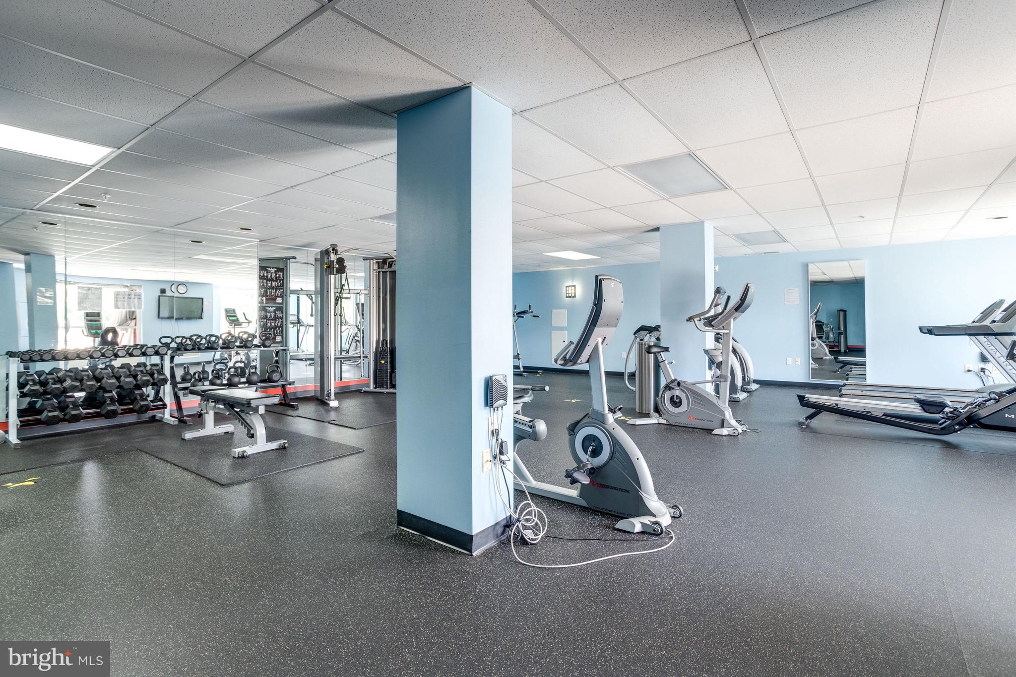 6301 Edsall Road, Unit 504 Alexandria, VA 22312 - Photo 34 of 39