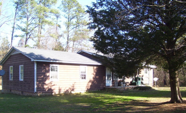 Primary Photo