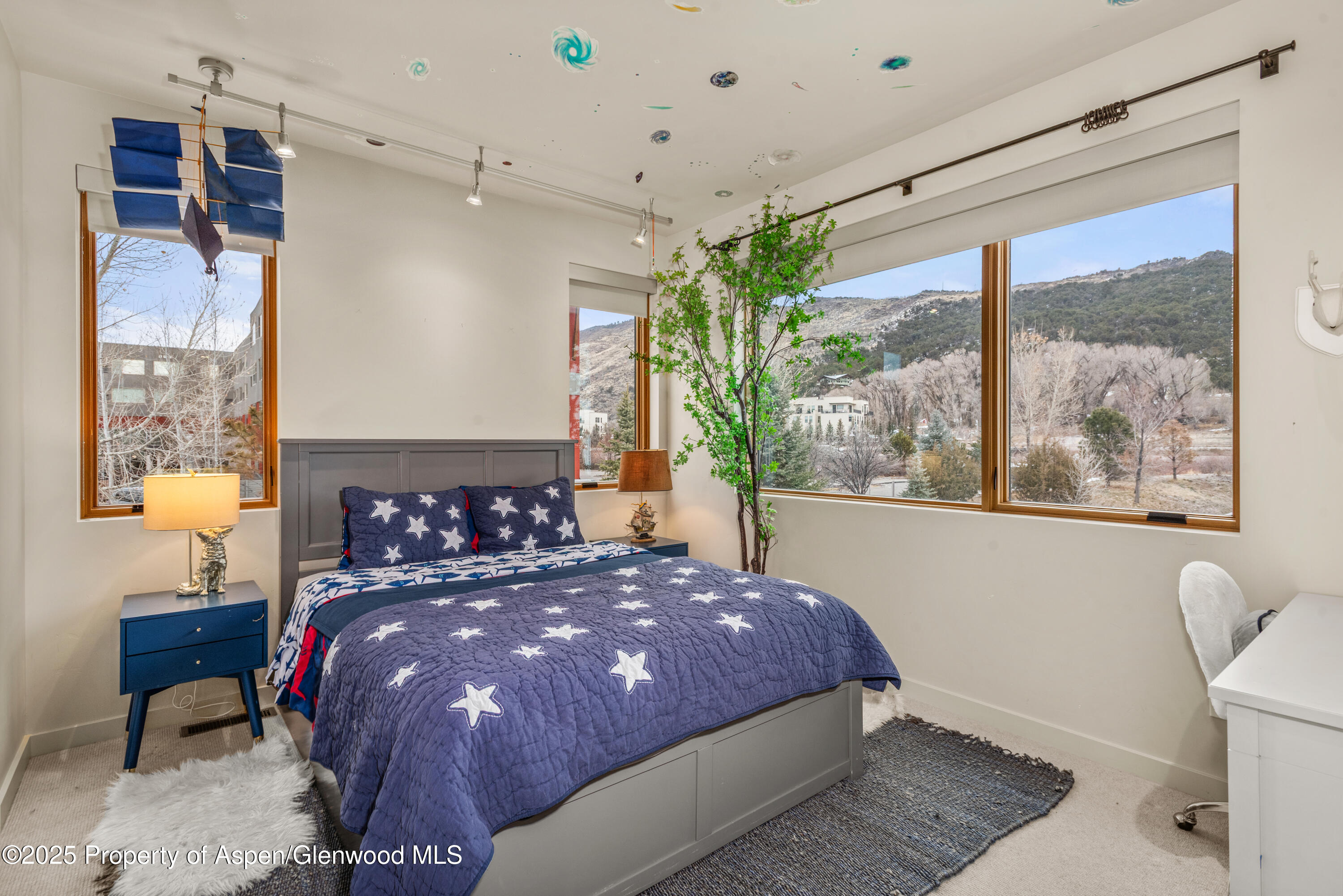 113 Valley Court Basalt, CO 81621 - Photo 26 of 34 a bedroom with a large bed and a potted plant