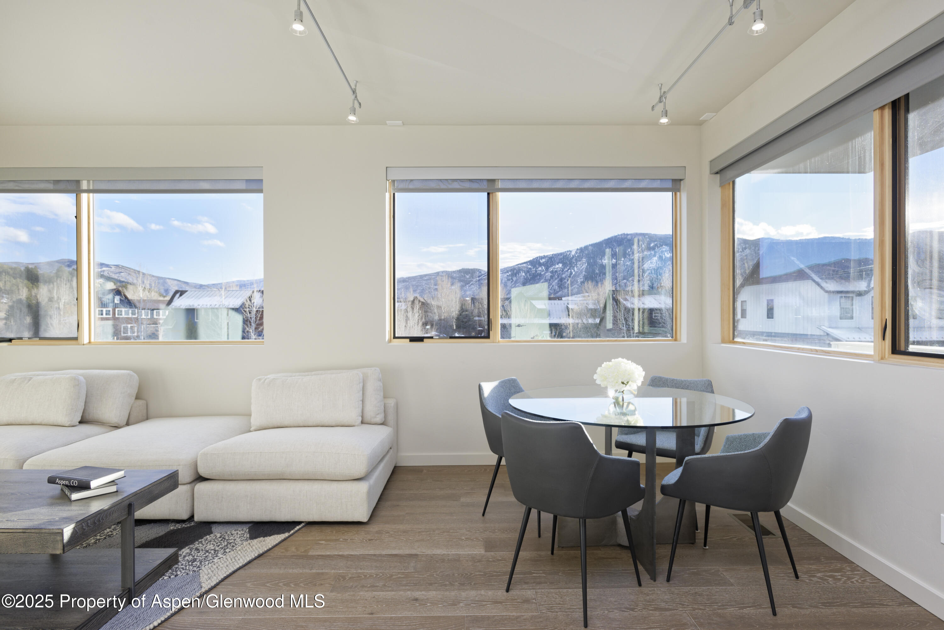 113 Valley Court Basalt, CO 81621 - Photo 32 of 34 a living room with furniture and a large window