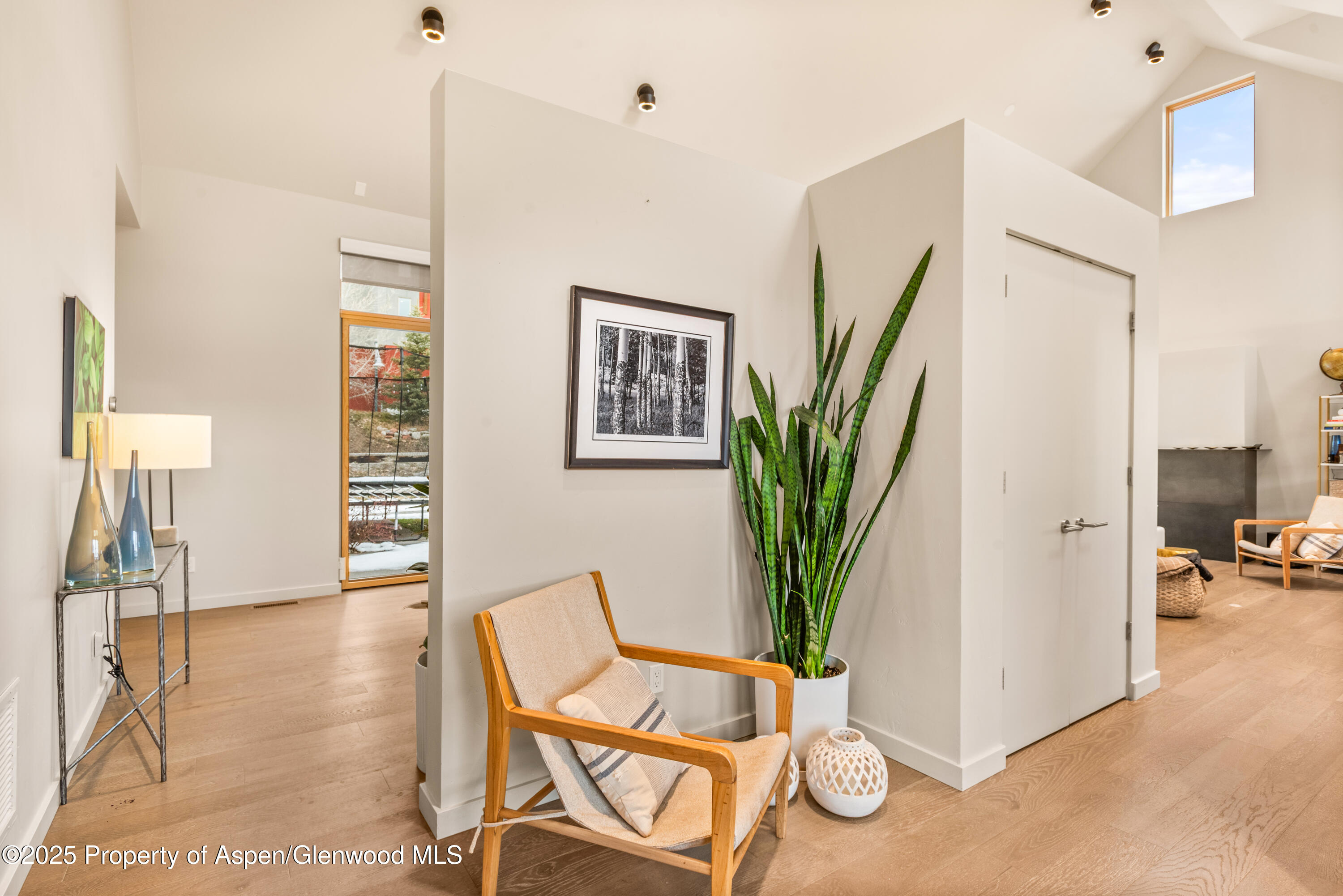 113 Valley Court Basalt, CO 81621 - Photo 6 of 34 a view of a livingroom with furniture and a potted plant