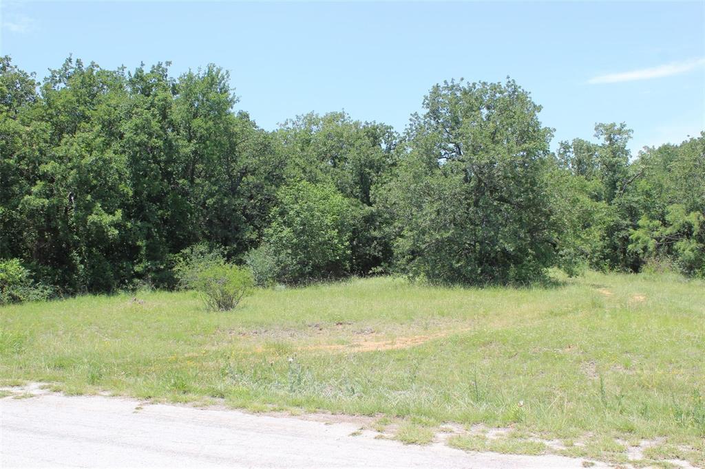 Lot 2 Segundo Drive Runaway Bay, TX 76426 - Photo 2 of 12