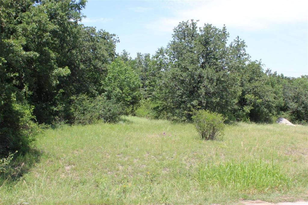Lot 2 Segundo Drive Runaway Bay, TX 76426 - Photo 3 of 12