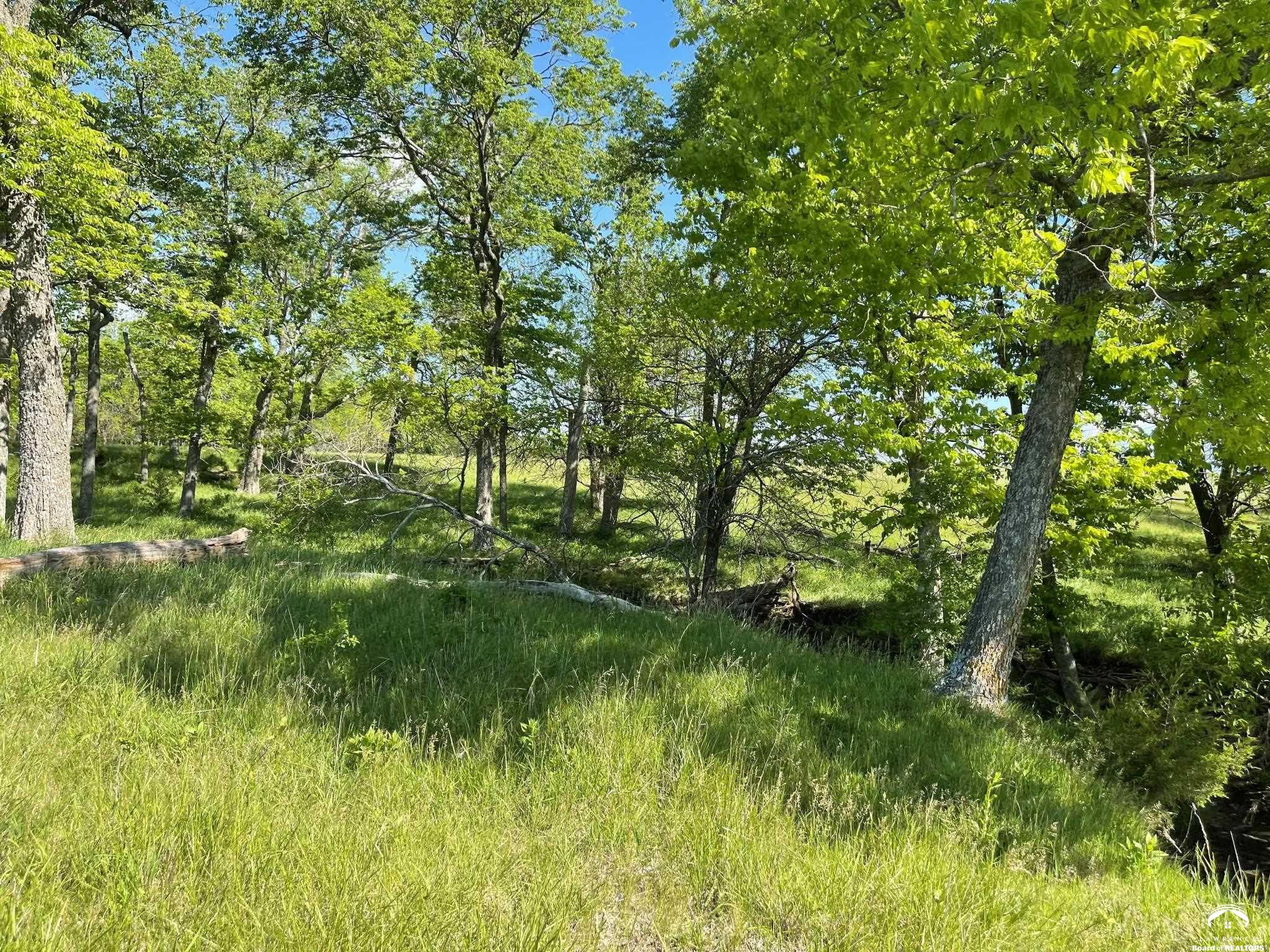 905 North 100th Road Baldwin City, KS 66006 - Photo 10 of 23