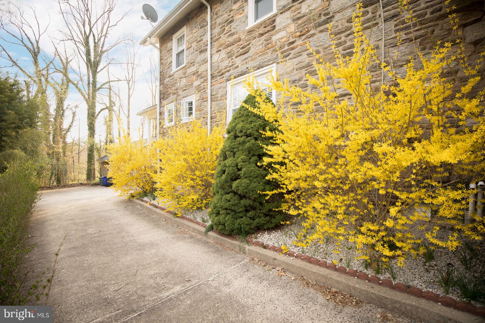 141 Township Line Road Jenkintown, PA 19095 - Photo 36 of 39 Gallery Image 36