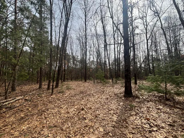 $47,500 | 8.09 North A N Centerline Road, White Cloud, MI 49349