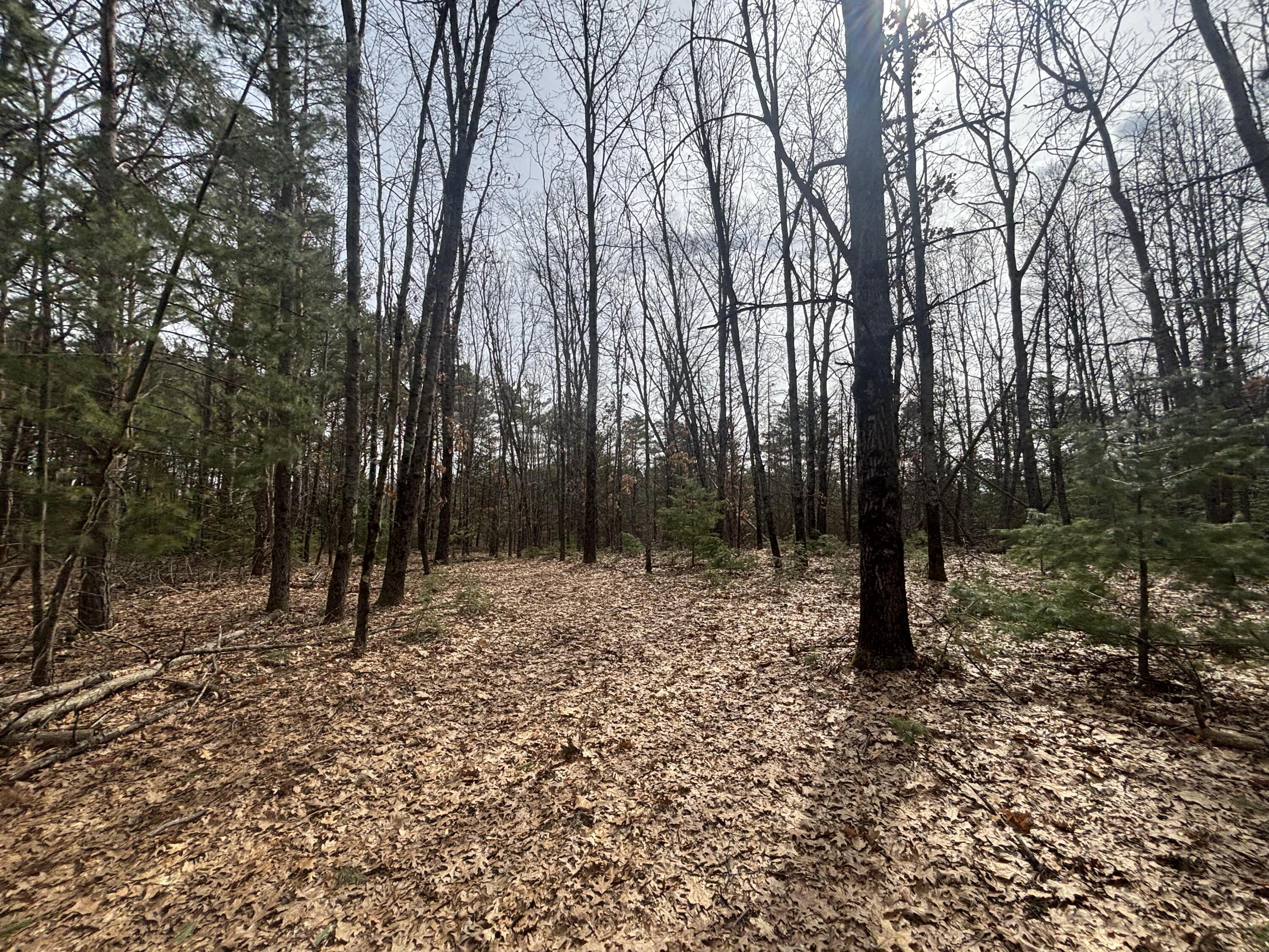 8.09 North A N Centerline Road White Cloud, MI 49349 - Photo 16 of 26 IMG_1911