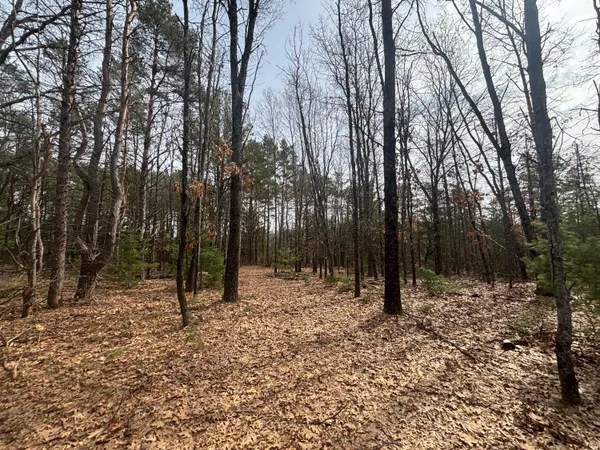 $47,500 | 8.09 North A N Centerline Road, White Cloud, MI 49349