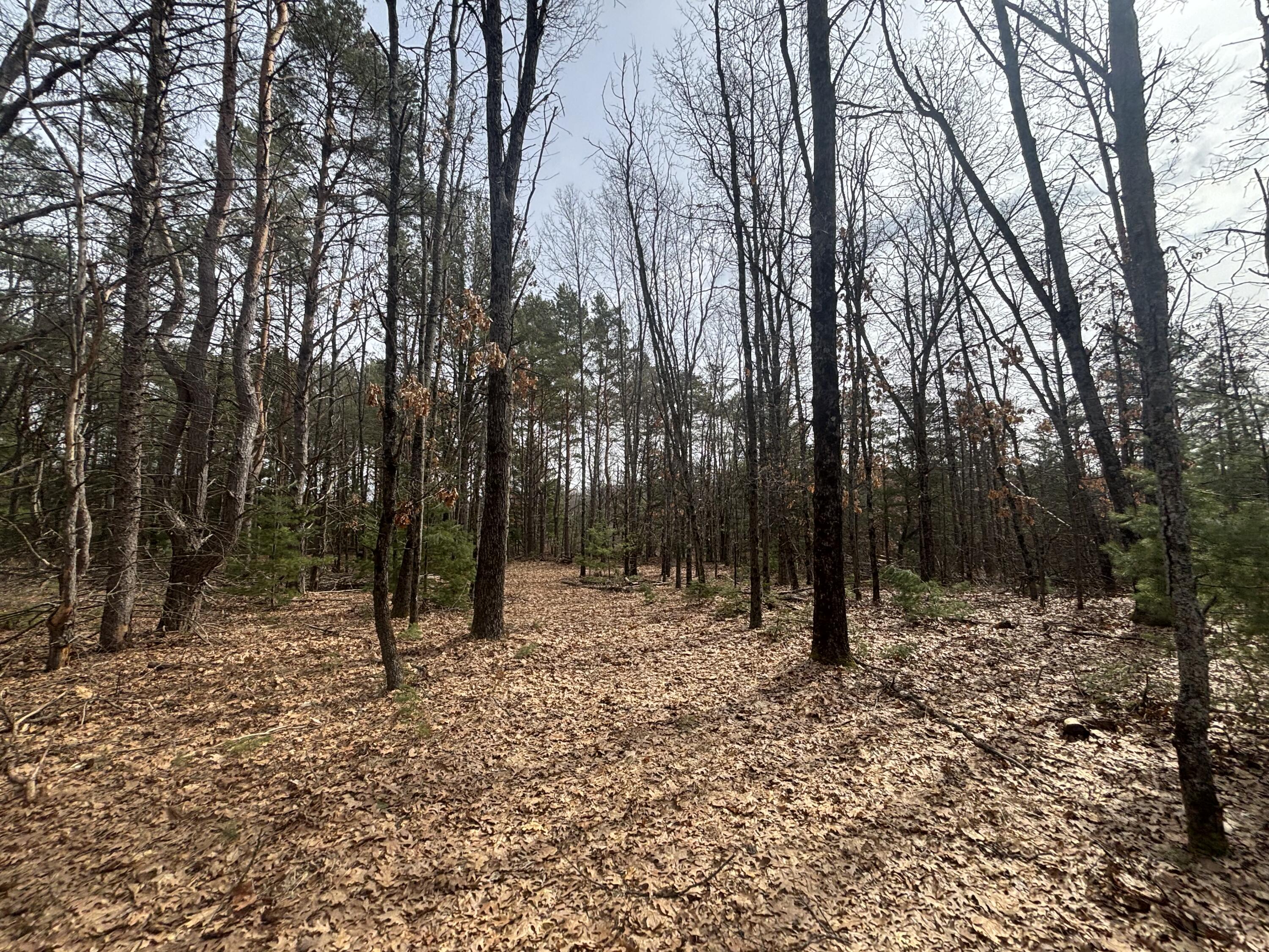 8.09 North A N Centerline Road White Cloud, MI 49349 - Photo 17 of 26 IMG_1912